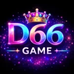 D66 Game