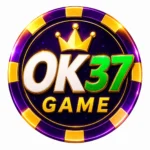 OK 37 Game