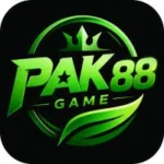 PAK 88 Game